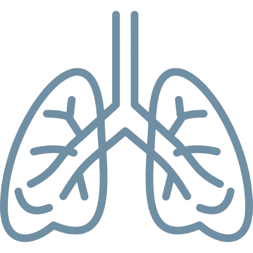 Fisioterapia respiratória Montijo - Alexandra Barrela